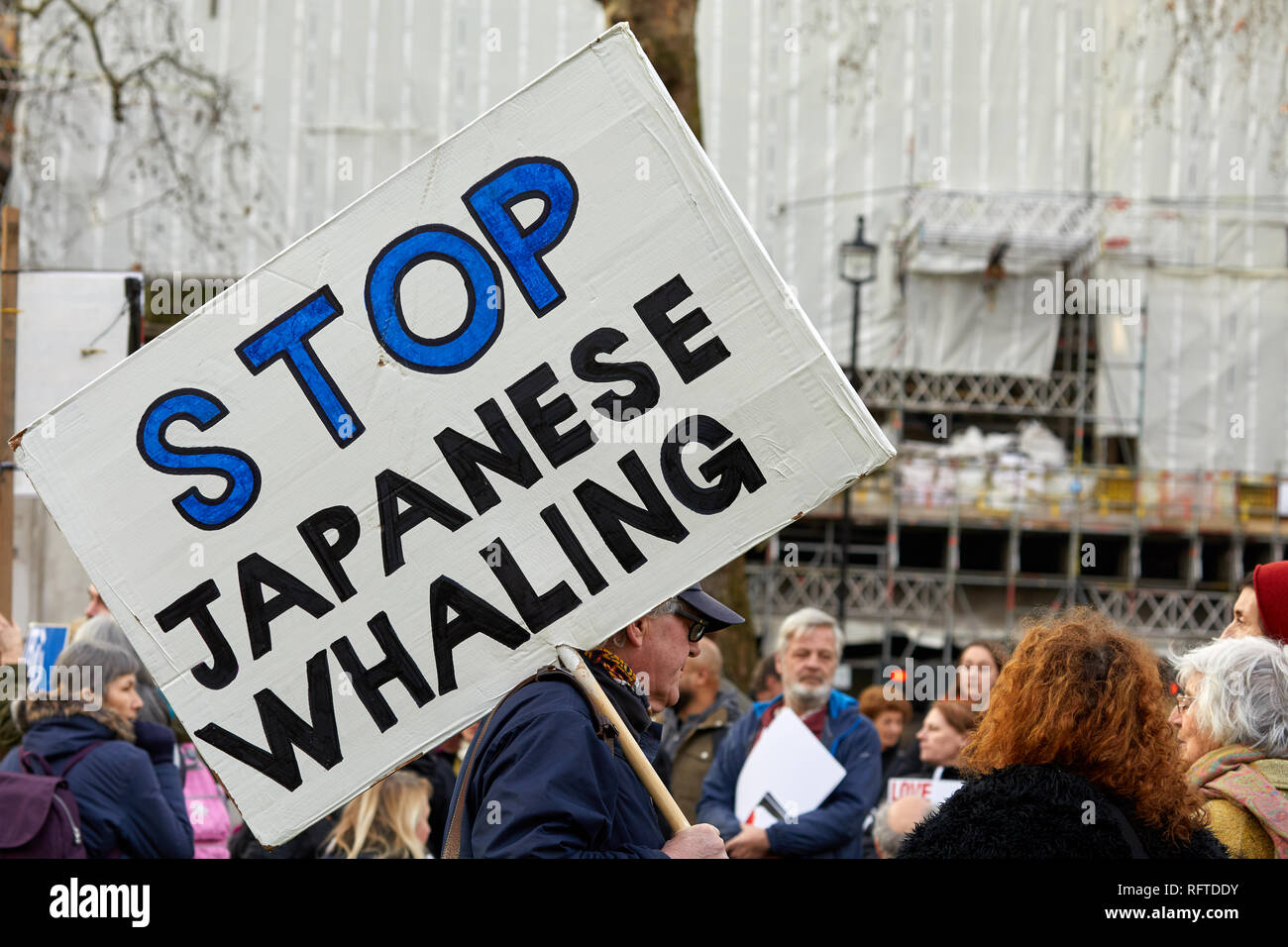 London, UK. - Jan 26, 2019: A placard held by a protestor against Japan resuming commercial whaling. Credit: Kevin J. Frost/Alamy Live News Stock Photo