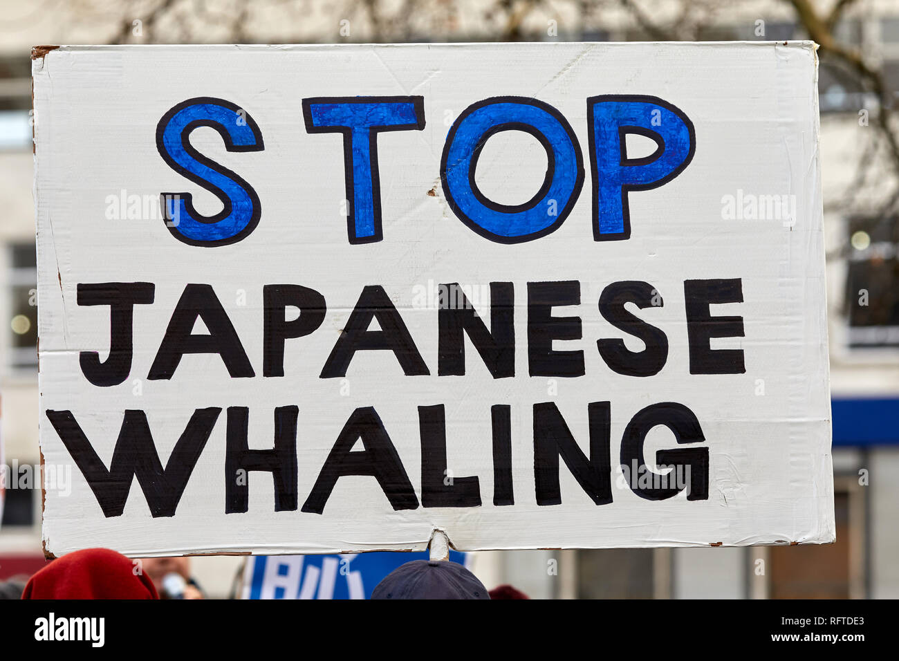 London, UK. - Jan 26, 2019: A placard held by a protestor against Japan resuming commercial whaling. Credit: Kevin J. Frost/Alamy Live News Stock Photo