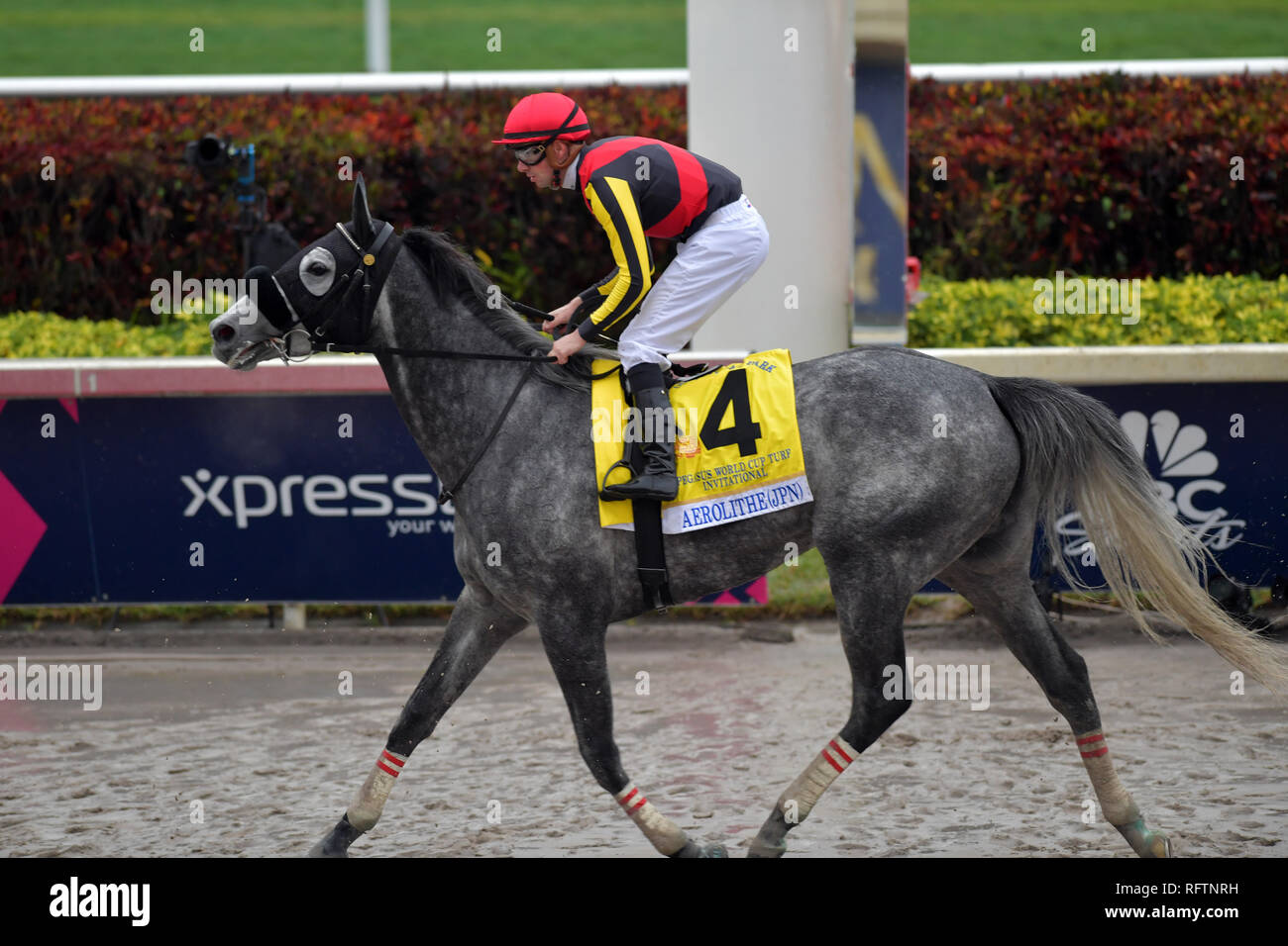 Hallandale, Florida, USA. 26th January, 2019. Jockey Irad Ortiz Jr, riding Bricks and Mortar wins the 2019 Pegasus World Cup 7 million dollar turf race at Gulfstream Park on January 26, 2019 in Hallandale, Florida  People:  Atmosphere Credit: Storms Media Group/Alamy Live News Stock Photo