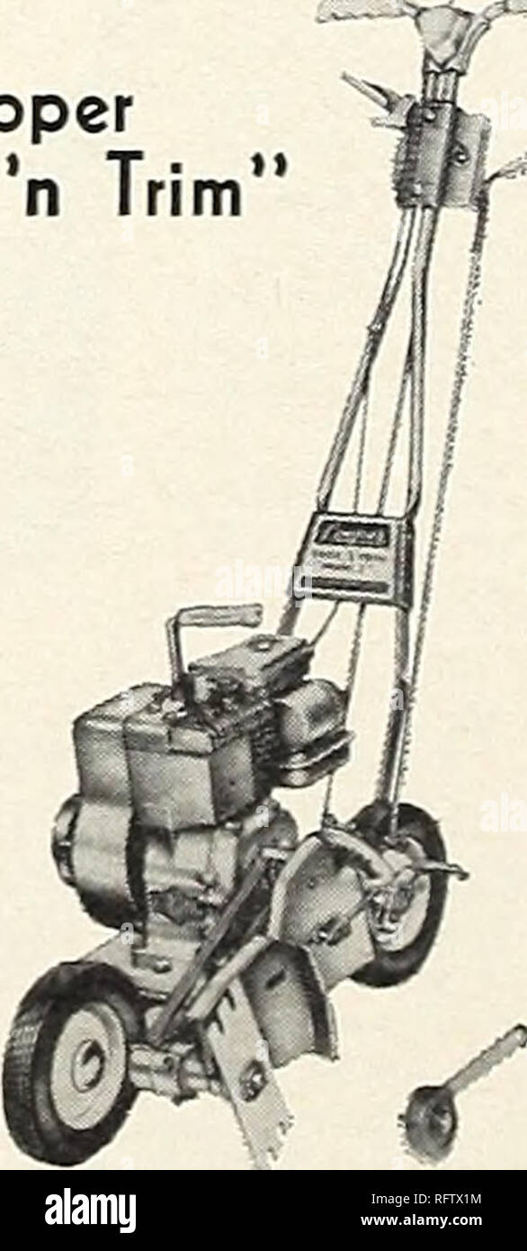 . Capitol city seeds 1962. Nurseries (Horticulture) Catalogs; Bulbs