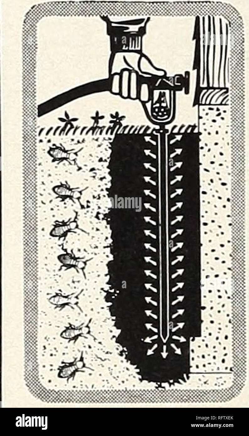 Capitol City Seeds 1962 Nurseries Horticulture Catalogs
