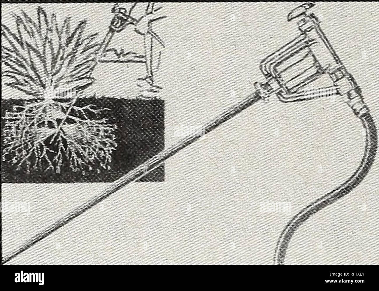 Capitol City Seeds 1962 Nurseries Horticulture Catalogs