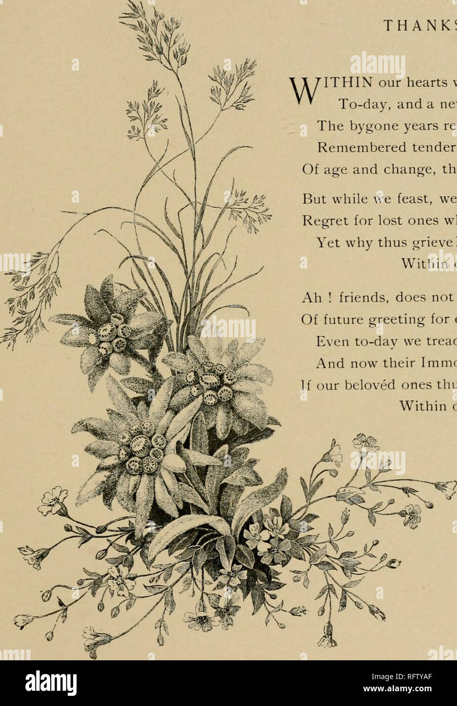 Captive Memories Flowers Flowers In Literature Thanksgiving Rondeau A 1 Hthin Our Hearts What Happy Mem Ries Well To Day And A New Thankfulness Compel The Bygone Years Return With