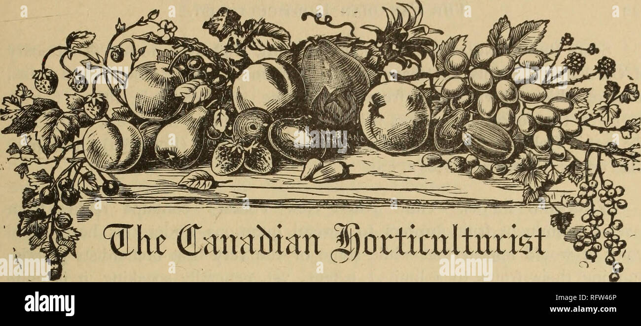 . The Canadian horticulturist. Fruit Growers' Association of Ontario