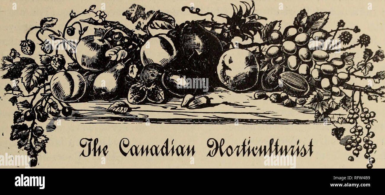 Letter aer hires stock photography and images Alamy