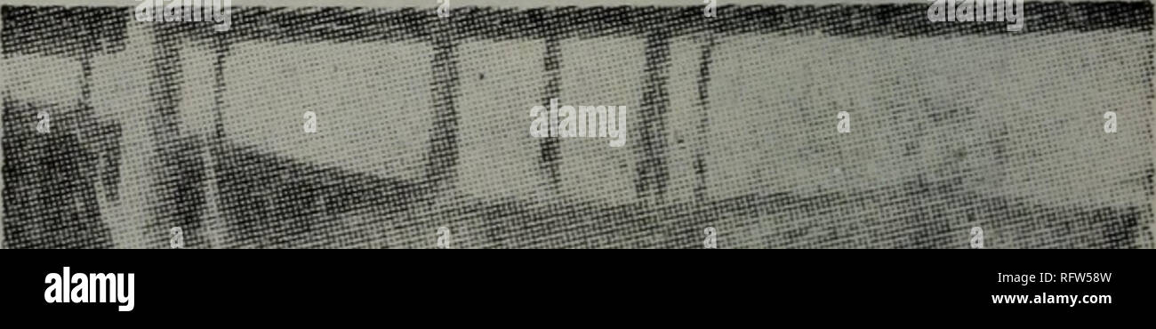 Cao Yuan Guan Li Xue Botany Aa Aae Ae Cwa Accc Ae Ae Ea Ae C E I Aa Aa A A C E E Aº A A E Ae E C 109a A E260e 370a Ae Aa C Ae Eaeµ Ae Aº Ae Ec E Aa A C A E Aº E A A I Ae C Ae Cc Ae Aa Eja Ccc Ae Cee Ccec I Ae Ffia C A E Ceae Ae Ceaº Ec A