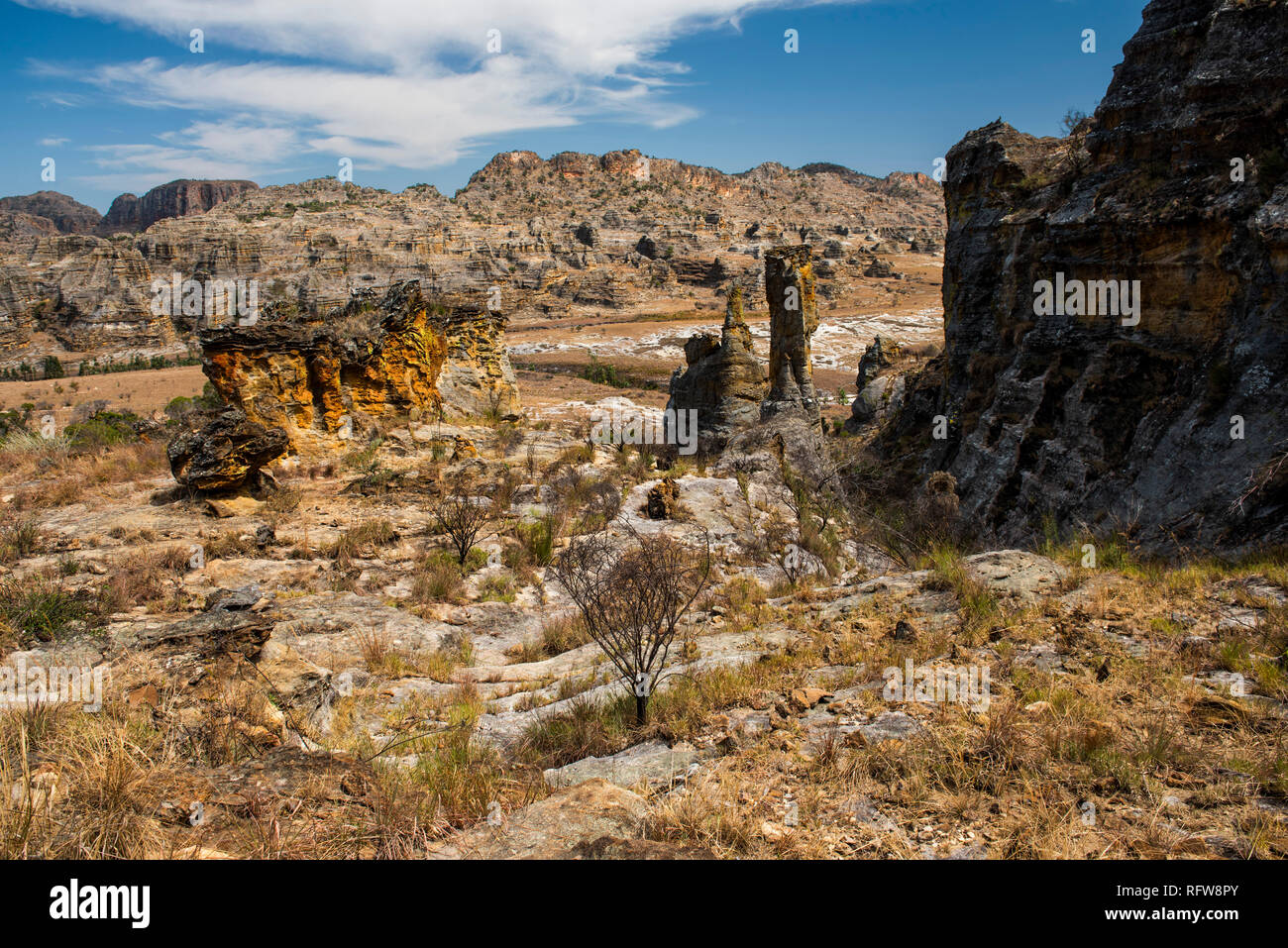 Isalo National Park, Ihorombe Region, Southwest Madagascar, Africa Stock Photo