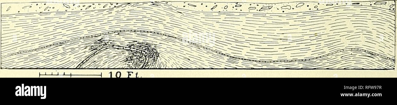 . The Canadian record of science. Natural history. 530 Canadian Record of Science. The most interesting fold of the series occurs just east of the end of the concession road, a short distance west of the first point on the hiks shore west of Lome Park. There are here two bands of sandstone interbedded with the shales, the lower one about four and a half inches in thickness and the upper about two inches. When the writer first noticed the anticlines, two years ago, the beds were folded so that the section appeared as shown in the figure (Figure 1). The upper portion of the. H 10 Tt Figure 1.—Ho Stock Photo