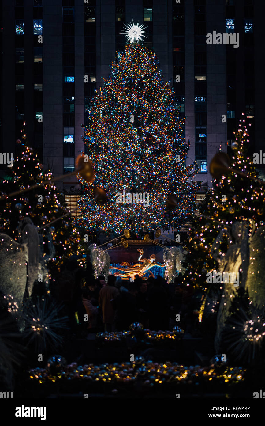 Christmas tree at Rockefeller Center at night, in Midtown Manhattan