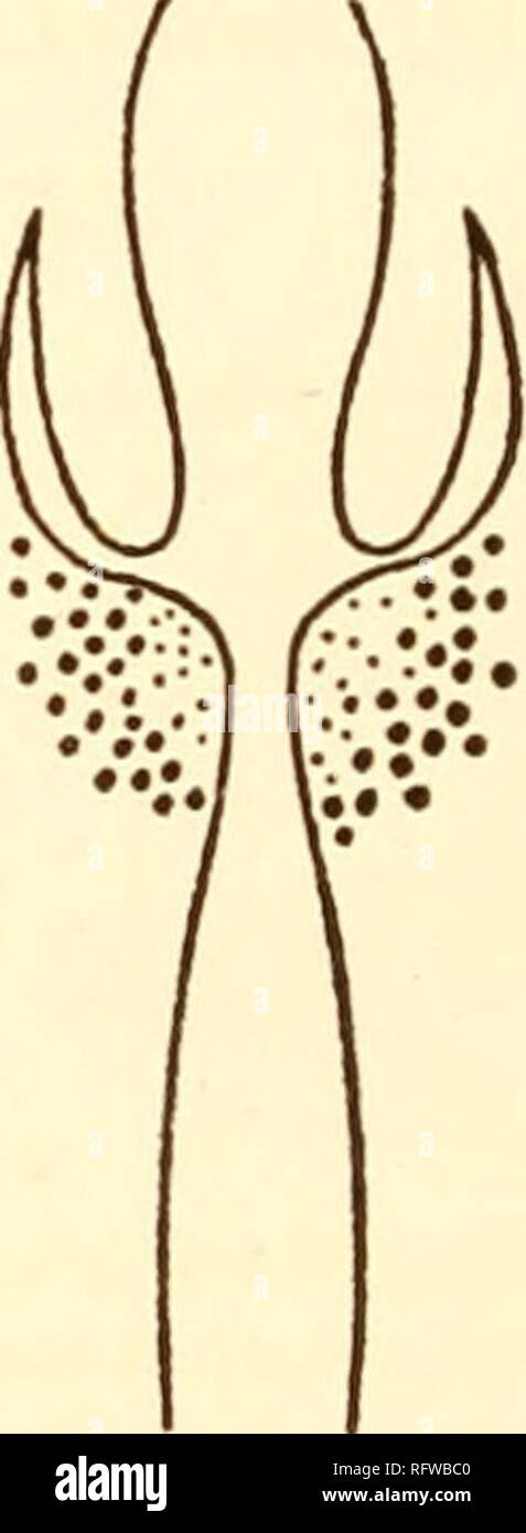 . Carnegie Institution of Washington publication. . Fig. 106—Method of ...