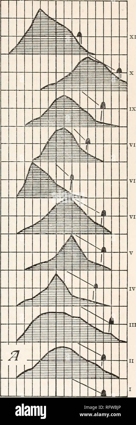 1a A Z May High Resolution Stock Photography And Images Alamy