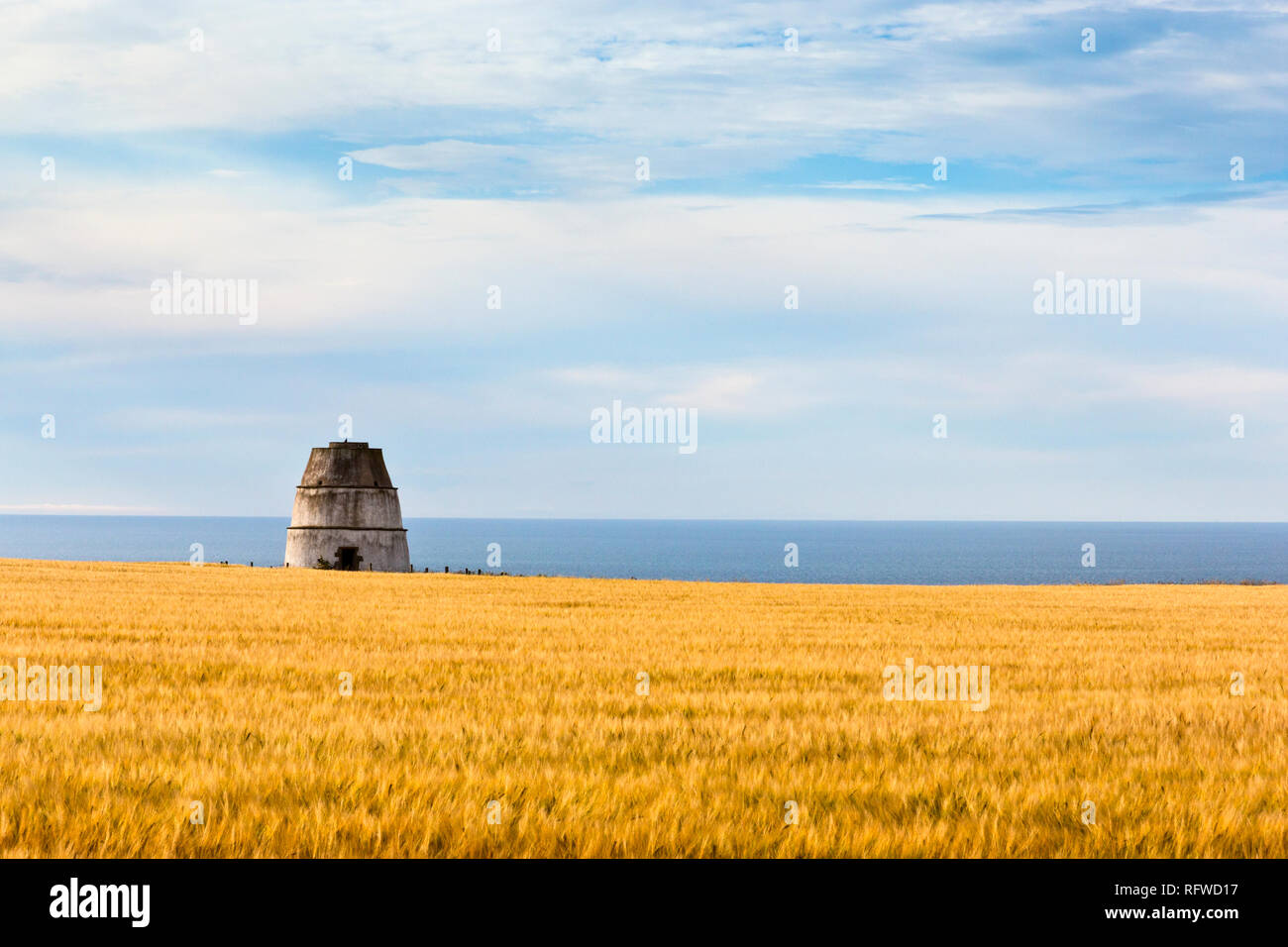 View of a Dovecote beyond a field of Barley at Findlater Castle above the Moray Firth near Cullen in Aberdeenshire Scotland Stock Photo