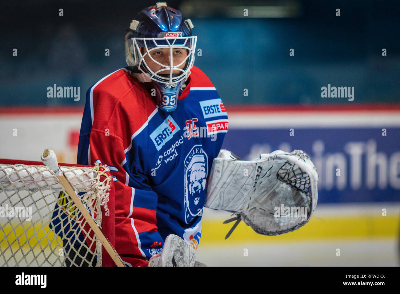 ZAGREB, CROATIA - DECEMBER 30, 2018: EBEL ice hockey league match between Medvescak Zagreb and KAC. Hockey goalie. Stock Photo