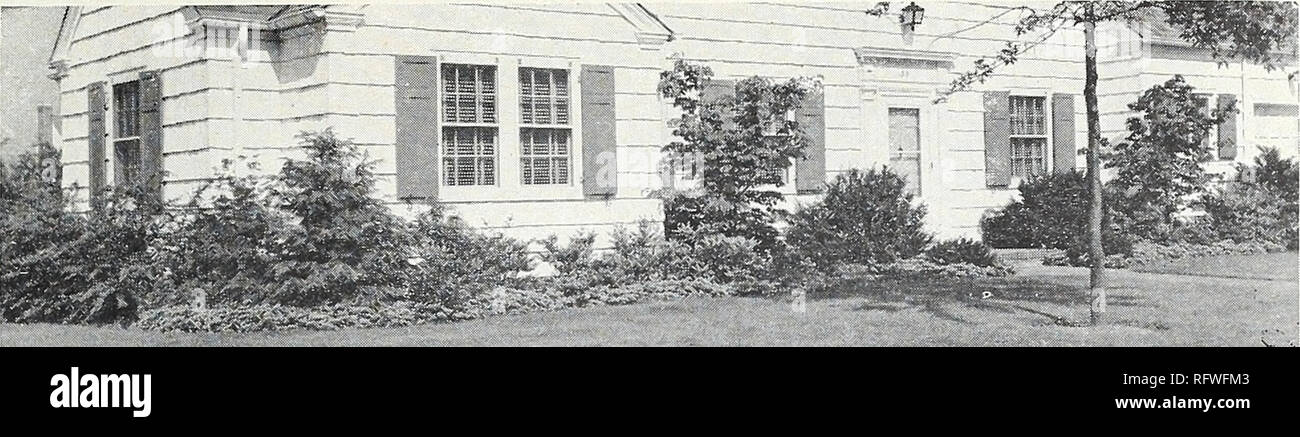 Poa 10 High Resolution Stock Photography And Images Alamy