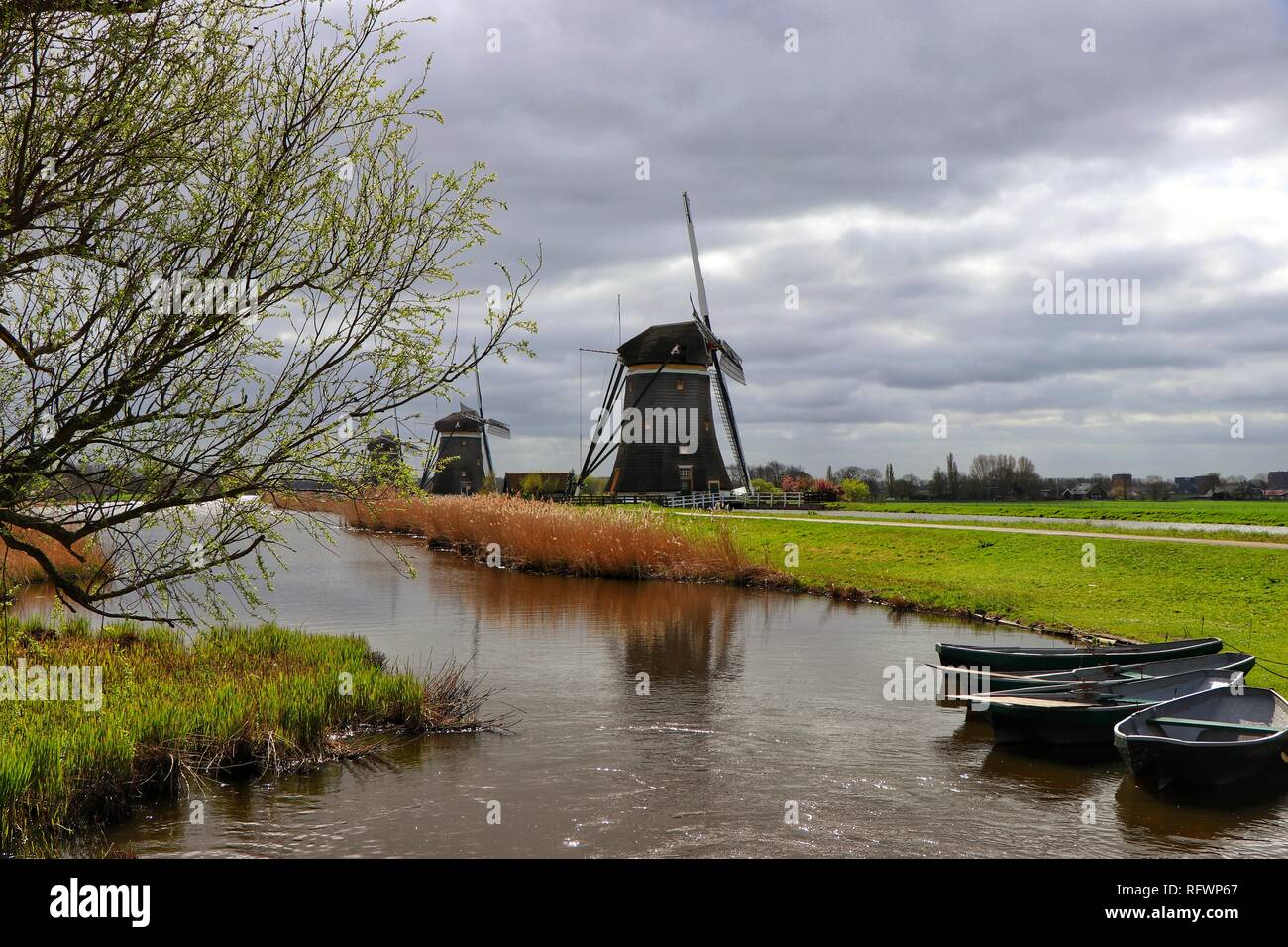 Rowing boats are moored on the mill pond, or polder, beside the iconic windmills of Stompwijkse Vaart, near The Hague, Holland. Stock Photo