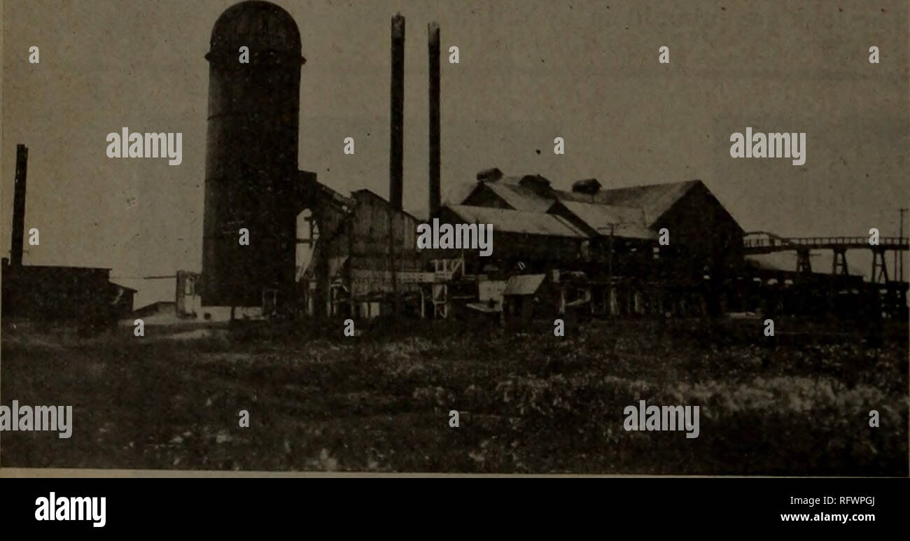 Canadian Forest Industries July December 1920 Lumbering Forests