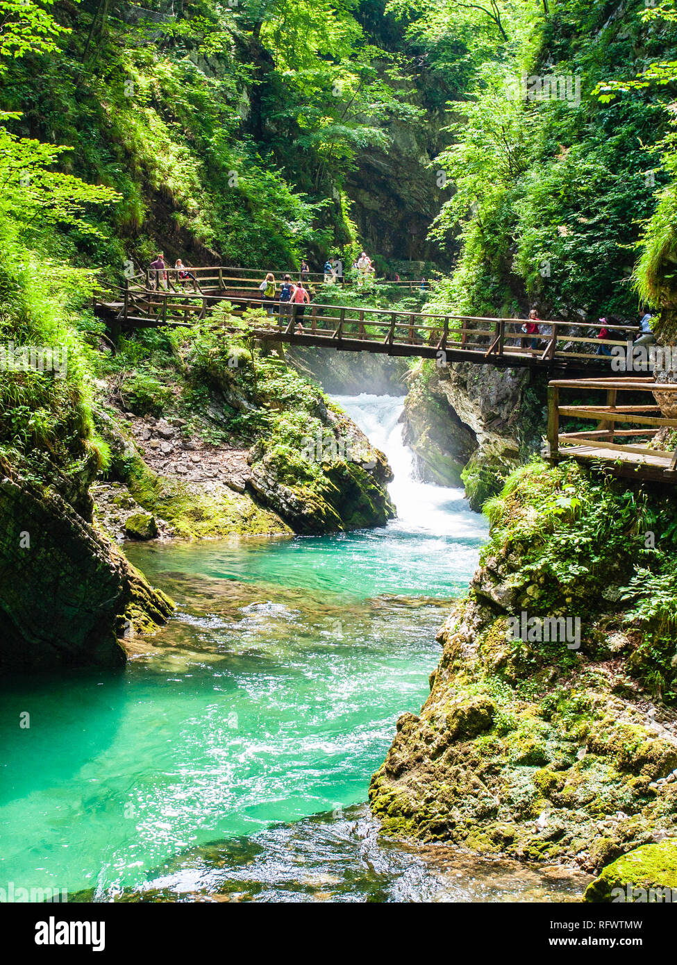 Radovna River flowing through Vintgar Gorge, near Bled, Slovenia, Europe Stock Photo