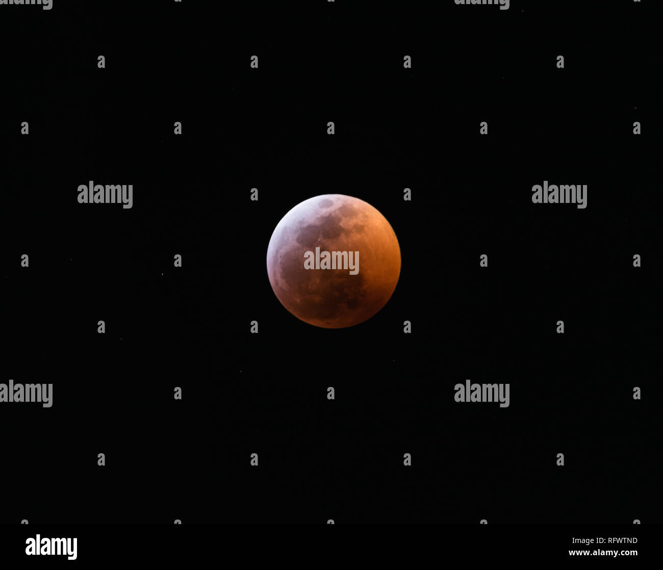 The Super Blood Wolf Moon Eclipse of 2019 Stock Photo - Alamy