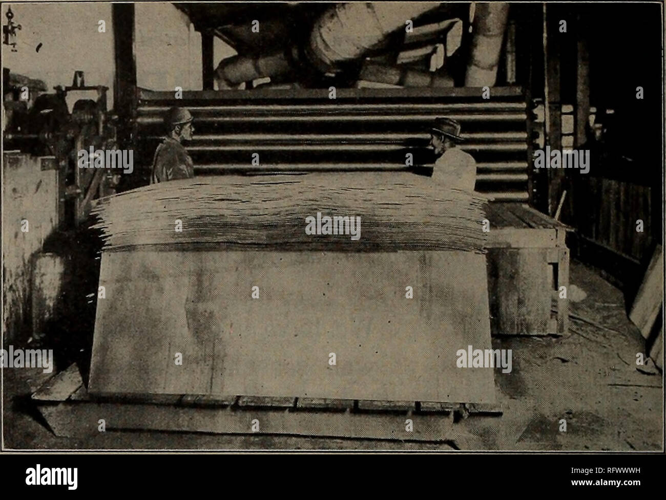 Canadian Forest Industries July December 1921 Lumbering Forests