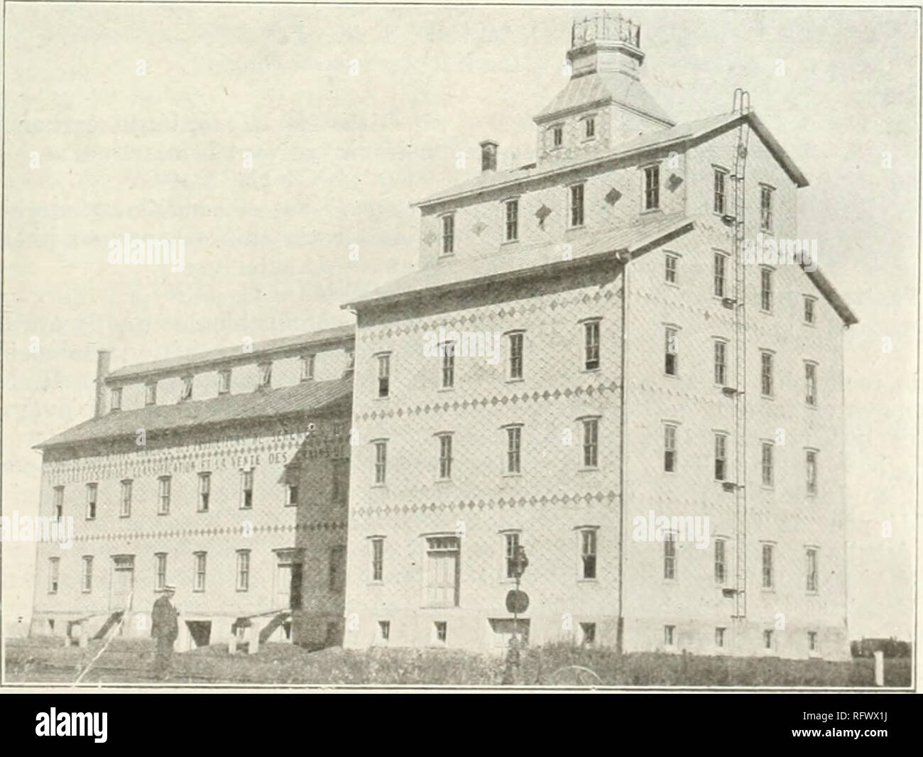 Jocote De Maranon Bendito Fruto De Guatemala Fruit Plants Edible Plants Edible Landscaping