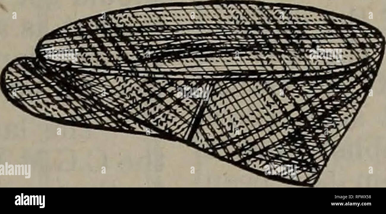 Canadian Forest Industries July December 1921 Lumbering Forests