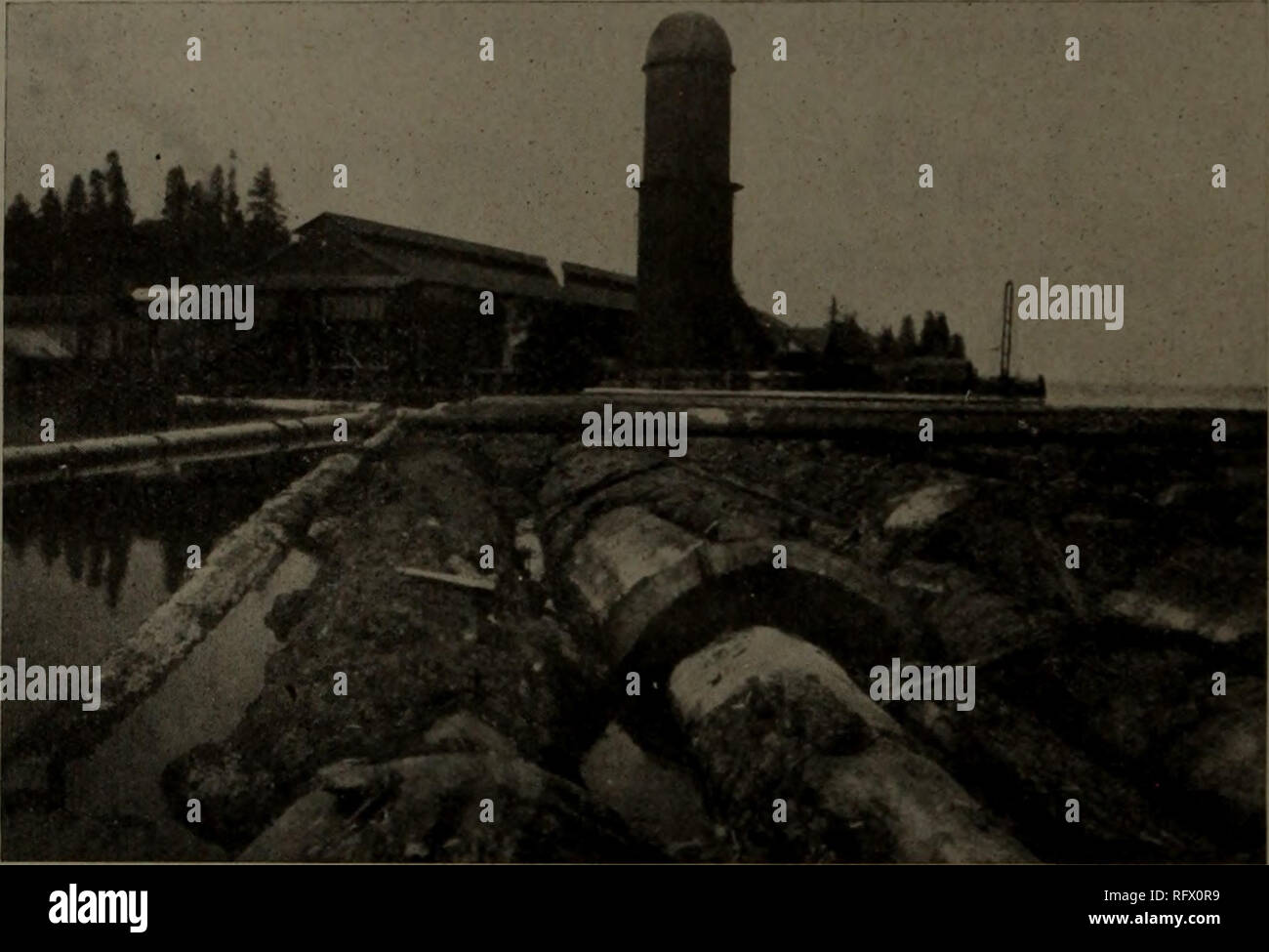 Canadian Forest Industries July December 1919 Lumbering Forests