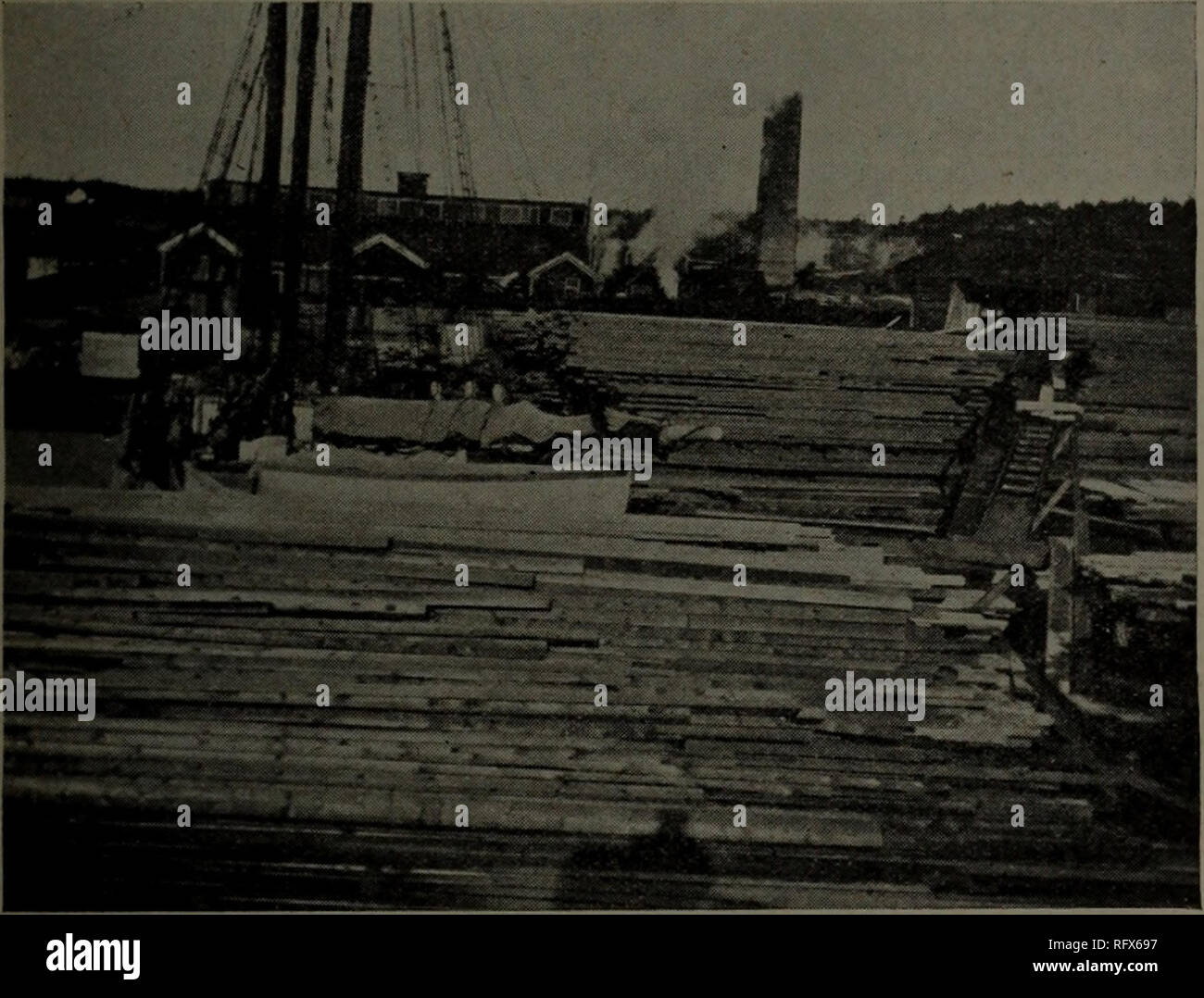 Canadian Forest Industries January June 1919 Lumbering Forests And Forestry Forest Products Wood Pulp Industry Wood Using Industries January 15 1919 Canada Lumberman And Woodworker 25 Many Unique Features For Big Convention Eleventh Annual