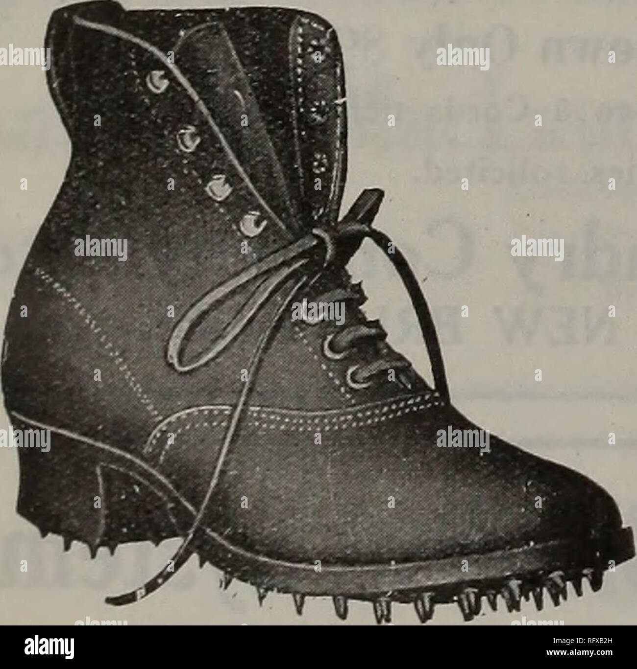 Canadian forest industries July-December 1921. Lumbering; Forests 