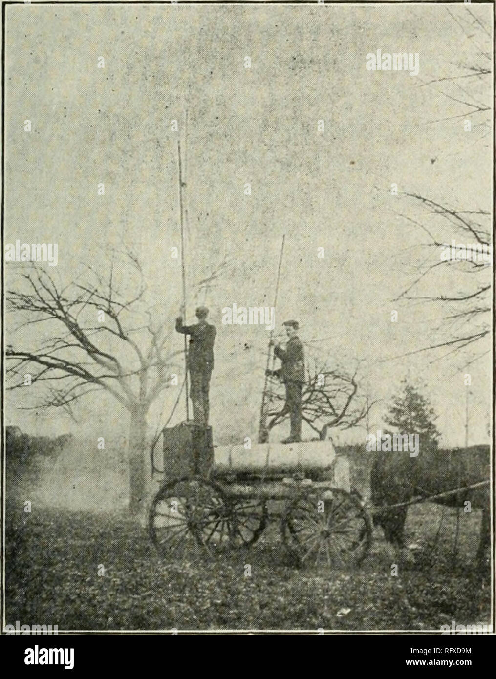 . The Canadian horticulturist [monthly], 1905. Gardening; Canadian ...