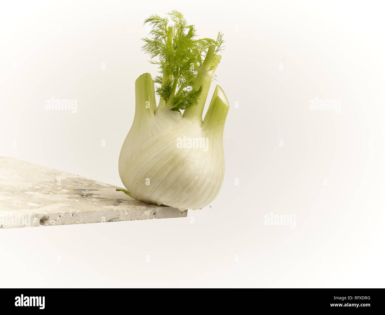 Fennel bulb vegetable food still life Stock Photo Alamy