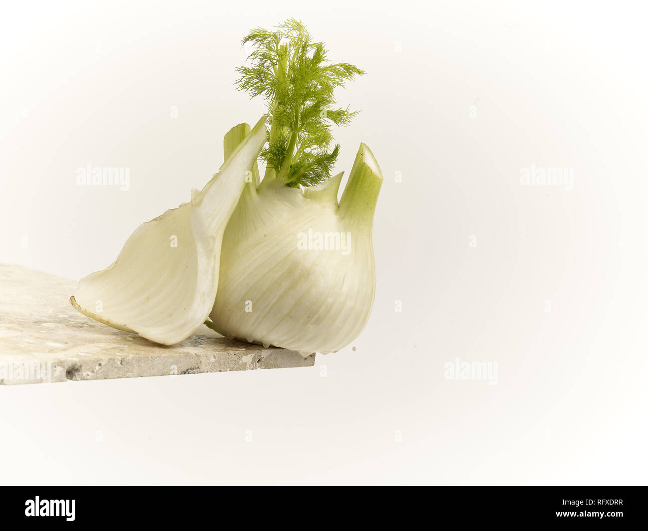 Fennel bulb vegetable food still life Stock Photo Alamy