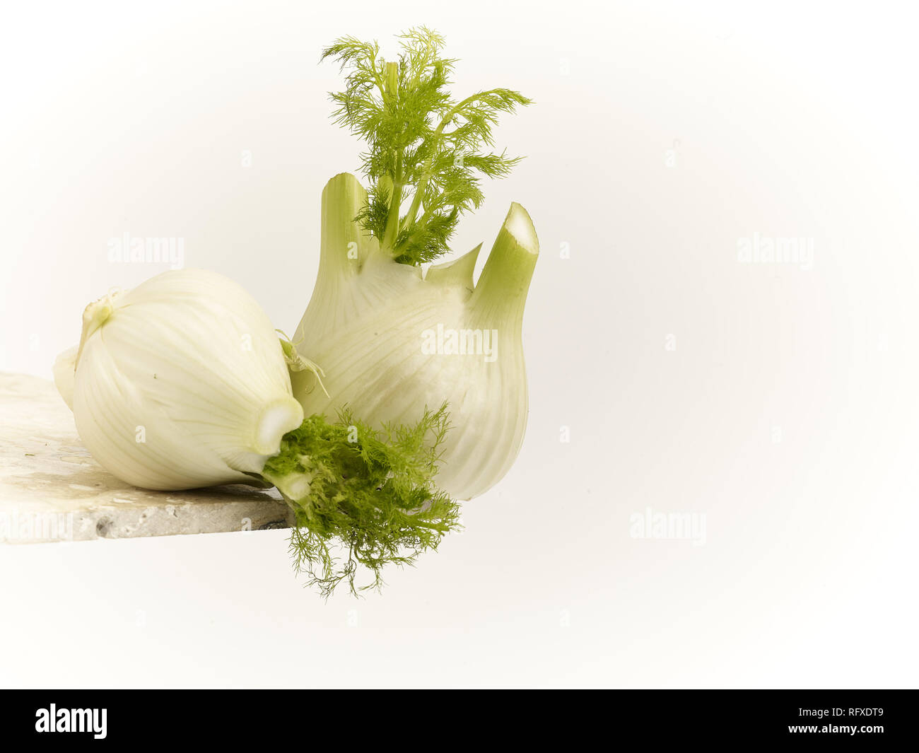 Fennel bulb vegetable food still life Stock Photo Alamy