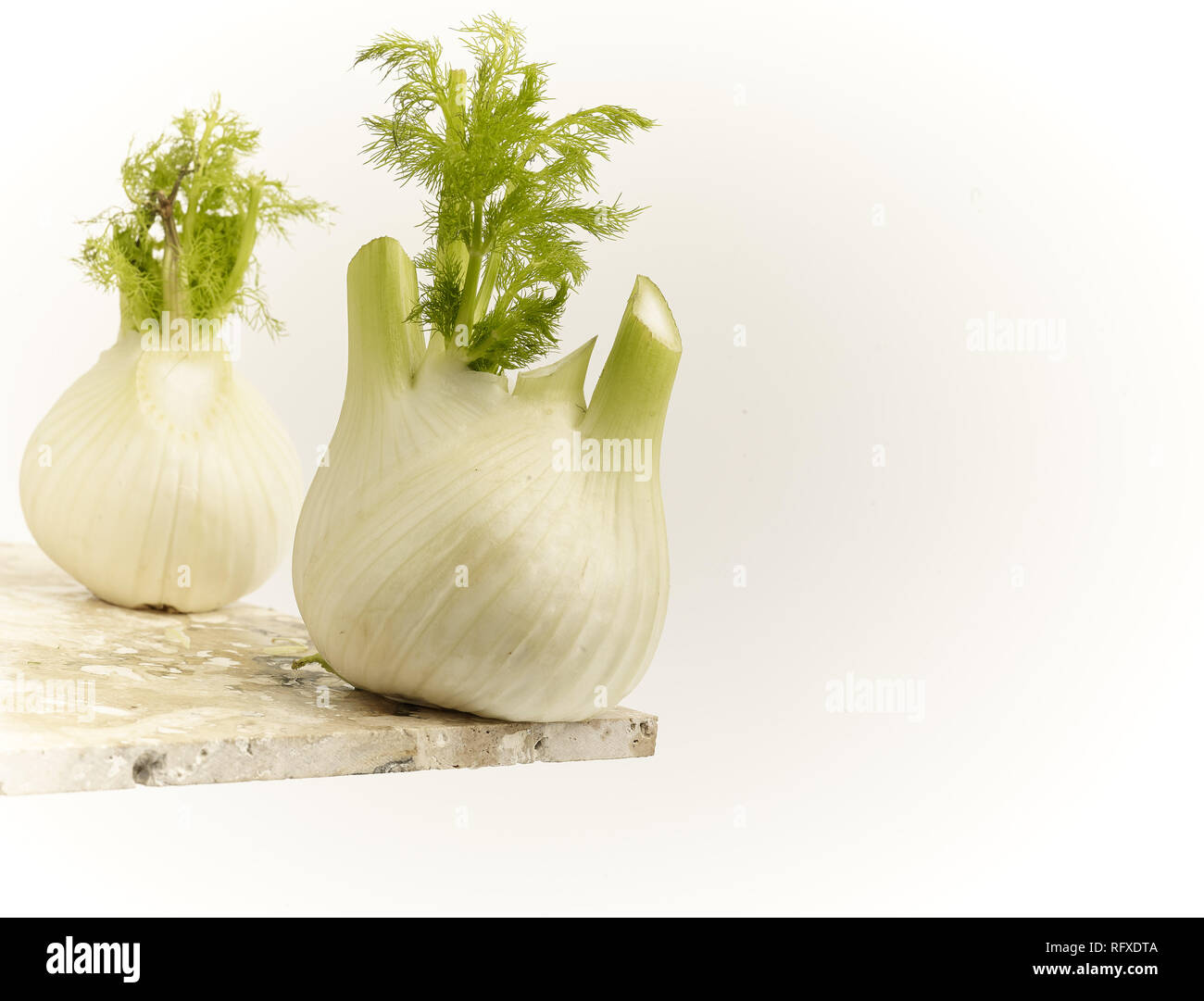 Fennel bulb vegetable food still life Stock Photo Alamy
