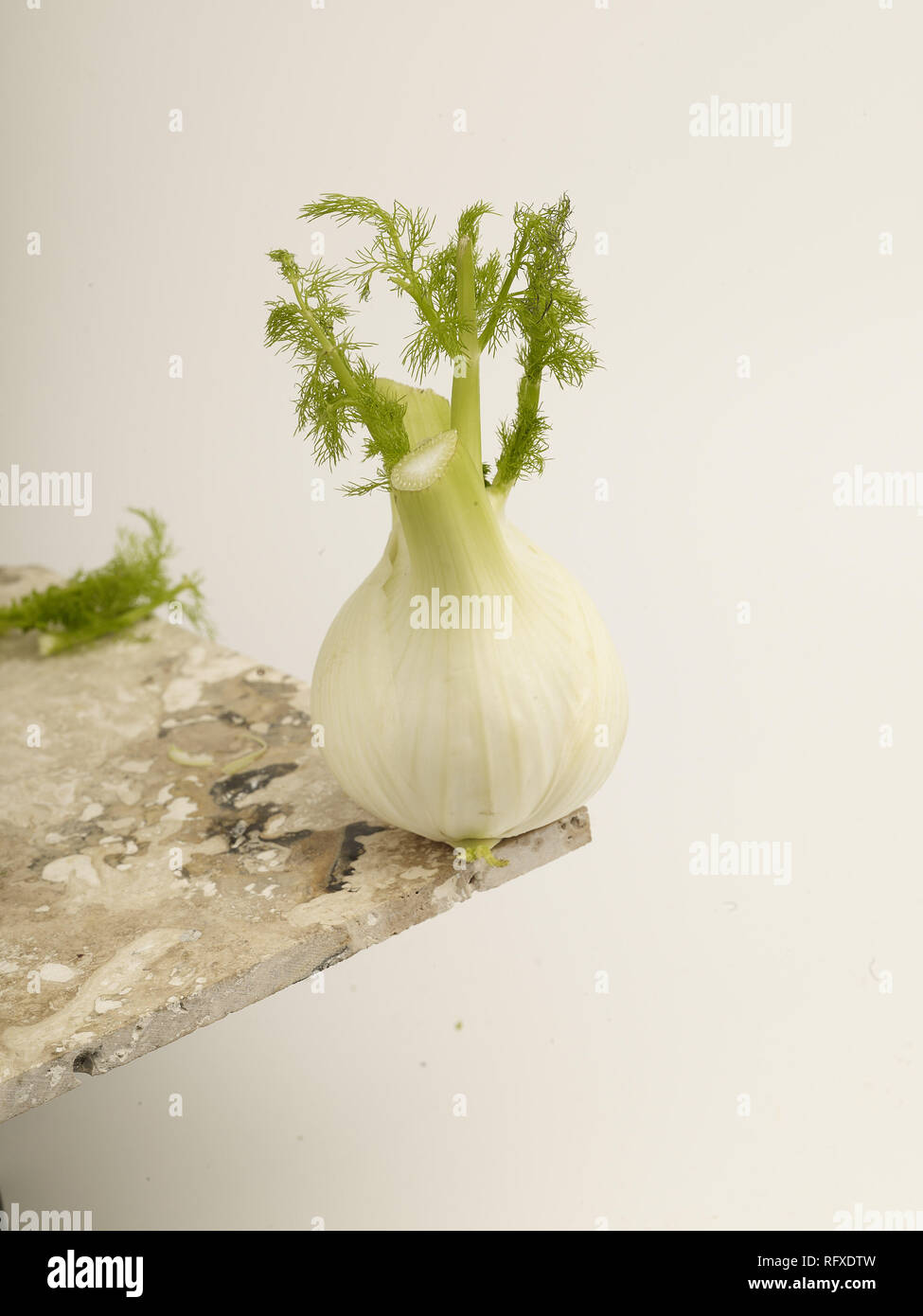 Fennel bulb vegetable food still life Stock Photo Alamy