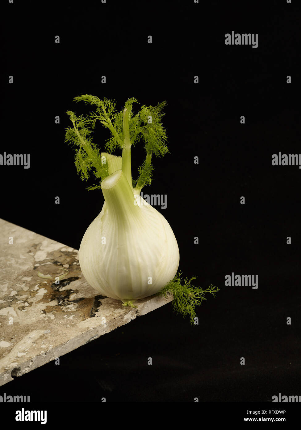 Fennel bulb stilllife food photograph Stock Photo Alamy