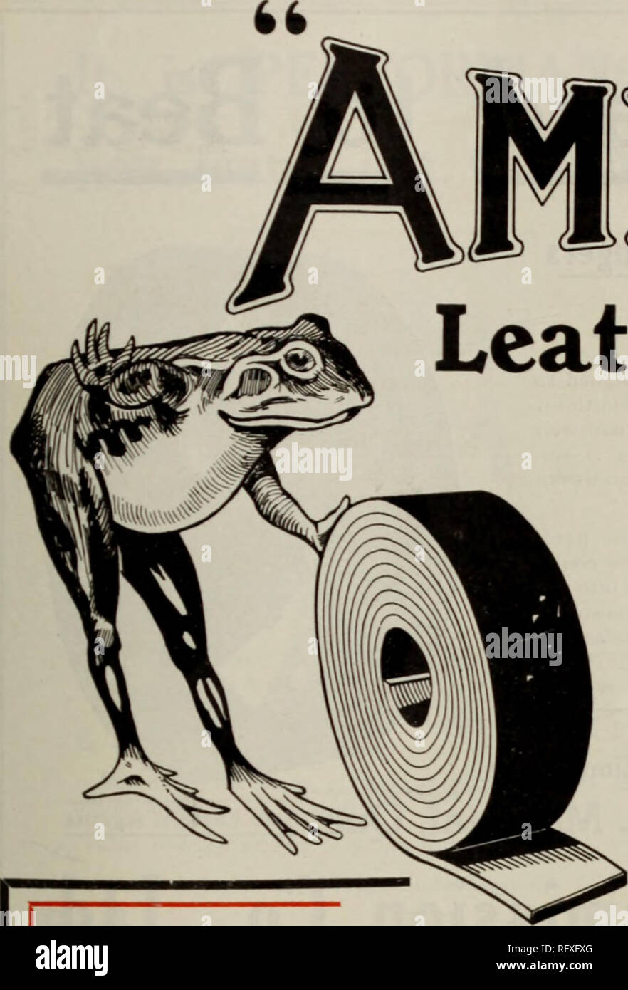 . Canadian forest industries July-December 1912. Lumbering; Forests and forestry; Forest products; Wood-pulp industry; Wood-using industries. CANADA LUMBERMAN AND WOODWORKER Amphibia Leather Belting &quot;9. Rivals the Frog in its Waterproof Qualities. Please note that these images are extracted from scanned page images that may have been digitally enhanced for readability - coloration and appearance of these illustrations may not perfectly resemble the original work.. Don Mills, Ont. : Southam Business Publications Stock Photo