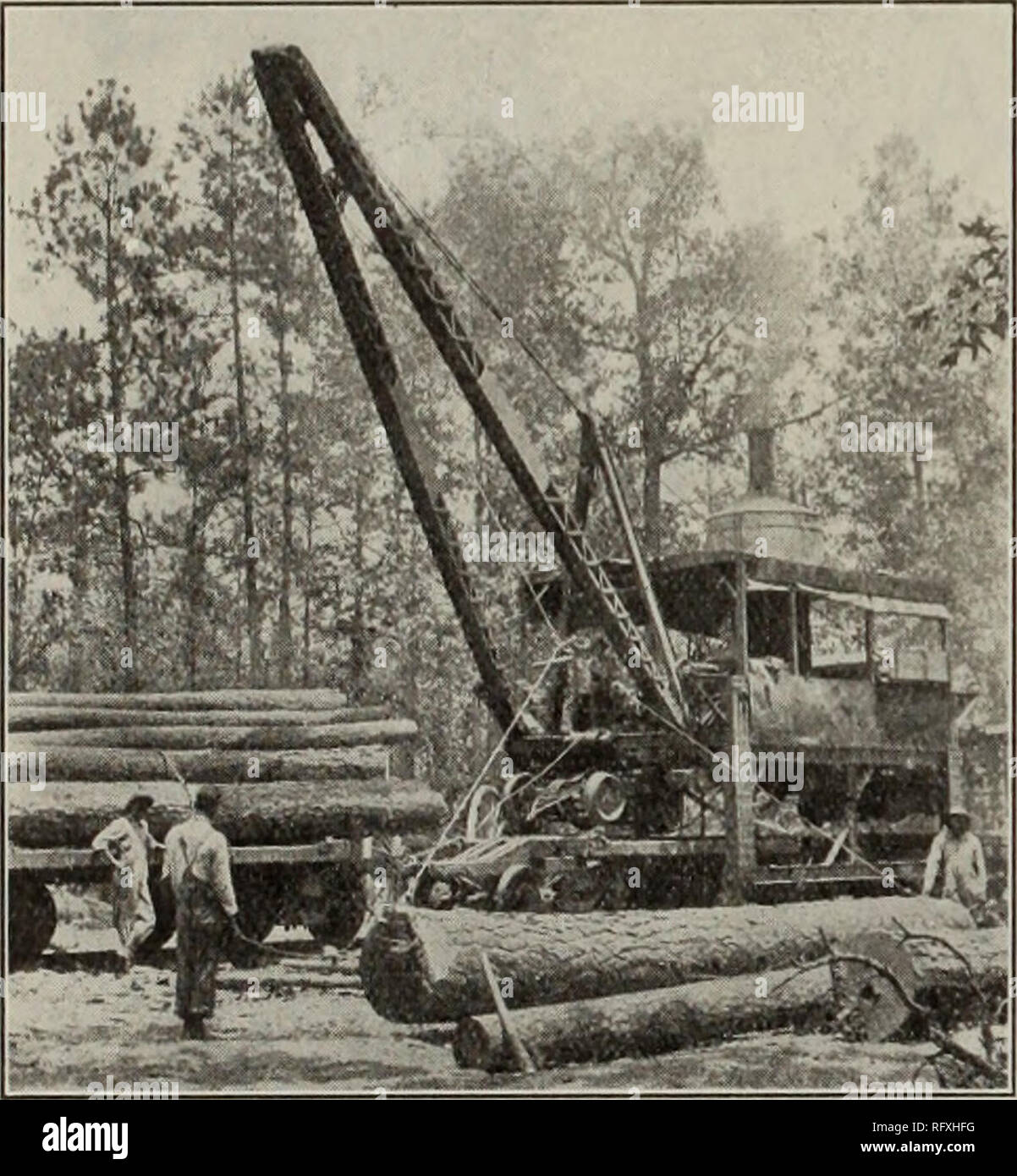 . Canadian forest industries July-December 1912. Lumbering; Forests and forestry; Forest products; Wood-pulp industry; Wood-using industries. 68 CANADA LUMBERMAN AND WOODWORKER CURRENT LUMBER PRICES Continued No. 2 Cuts 6/4 45 00 No. 2 Cuts 8/4 60 00 No. S Cuts 5/4 33 00 No. 8 Cuts G/4 34 (X) No. 3 Cuts 8/4 36 00 Dressing 5/4 46 00 Dressing 5/4 x 10 51 00 Dressing 5/4 x 12 52 00 No. 1 Moulding 5/4 58 00 No. 1 Moulding 6/4 68 00 No. 1 Moulding 8/4 58 00 No. 2 Moulding 5/4 47 00 No. 2 Moulding 6/4 47 0&quot; No. 2 Moulding 8/4 47 00 No. 1 Barn 1 x 12 46 00 No. 1 Barn 1x6 and 8 34 00 No. 1 Barn 1 Stock Photo