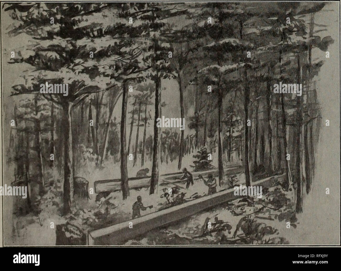 Canadian Forest Industries January June 1913 Lumbering Forests