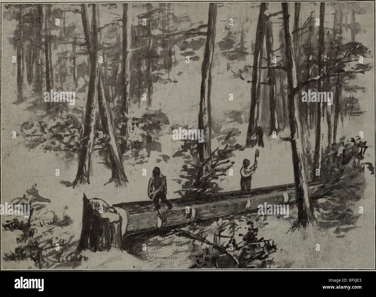 Canadian Forest Industries January June 1913 Lumbering Forests