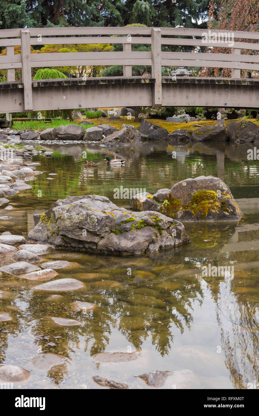 iew of mossy rocks and koi pond with arched bridge at Kasugai Gardens, a Japanese garden in downtown Kelowna, British Columbia, Canada Stock Photo