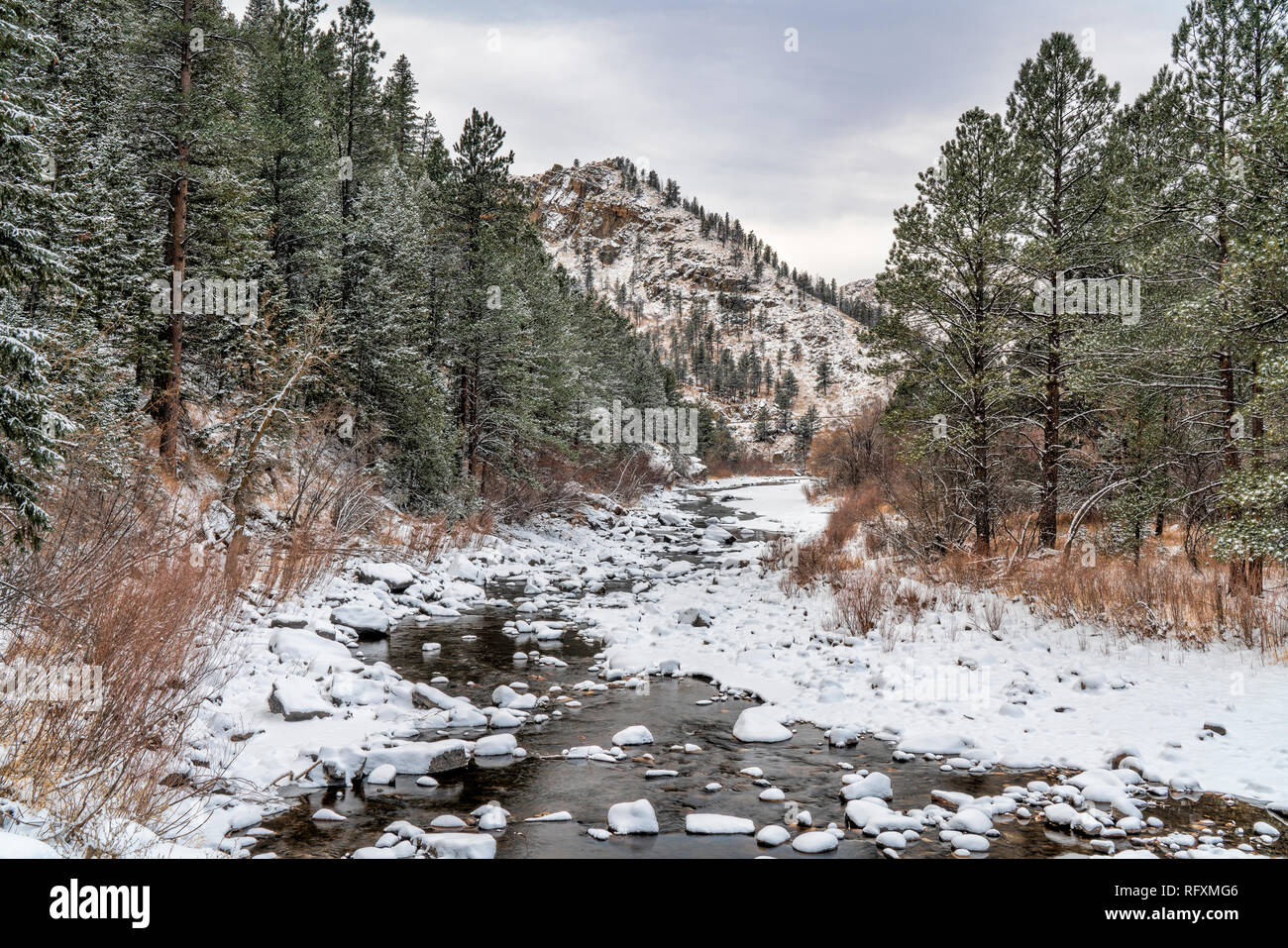 Poudre River in winter scanery - Gateway Natural Area near Fort Collins, Colorado Stock Photo