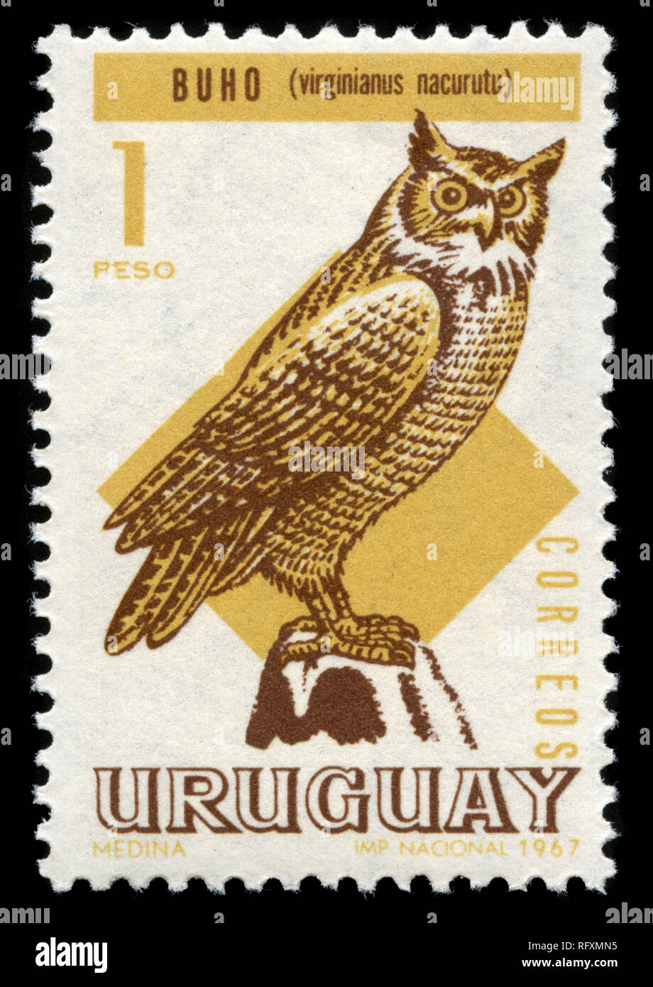 Postage stamp from Uruguay in the Birds series issued in 1968 Stock