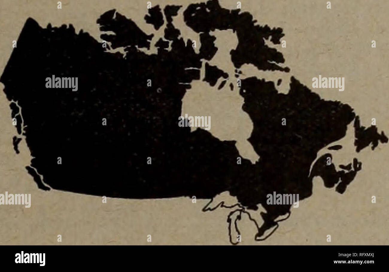 Canadian Forest Industries July December 1923 Lumbering Forests