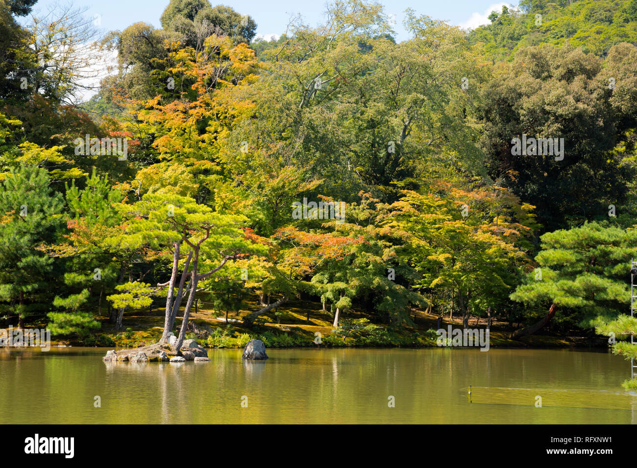Garden Scene at Parkgate Stock Photo Alamy