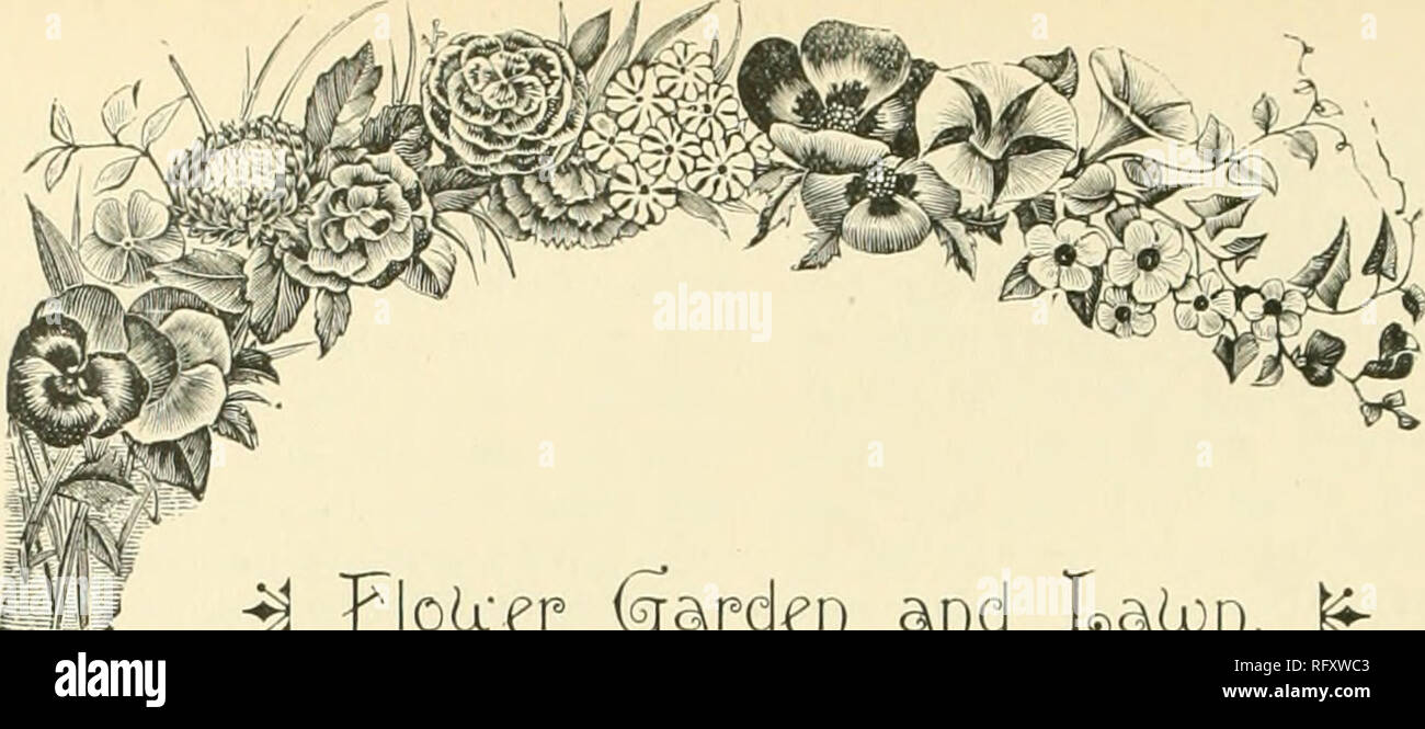 . The Canadian horticulturist [monthly], 1897. Gardening; Canadian periodicals. M '^lolx^r (Sapd^i) ar)d Laloi). ^ SOME GOOD HERBACEOUS PERENNIALS. HERBACEOUS Perennials are those plants whose roots re- main in the ground from year to year, the foliage dying down to the surface of the ground every autumn to grow up with renewed vigor in the spring. As most plants of this class do best if their roots are not disturbed for several years, it is necessary in preparing a per- ennial border to dig deeply and fertilize well before planting. Though many of them are perfectly hardy without pro- tection Stock Photo