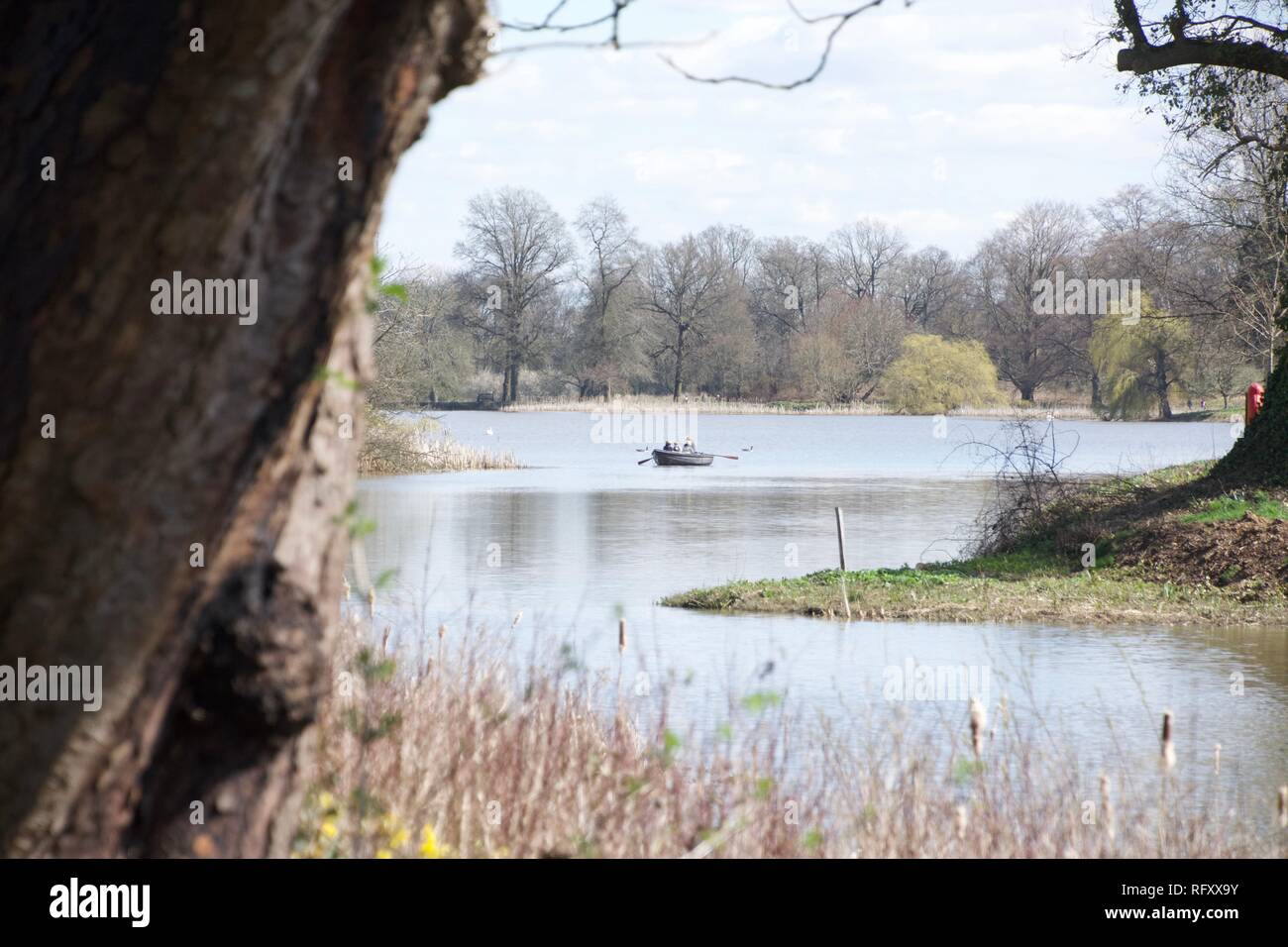 A rowing boat on a lake or river in the spring or winter. Some wind on the water and no leaves on the trees. Reed beds and a tree trunk in the foregro Stock Photo