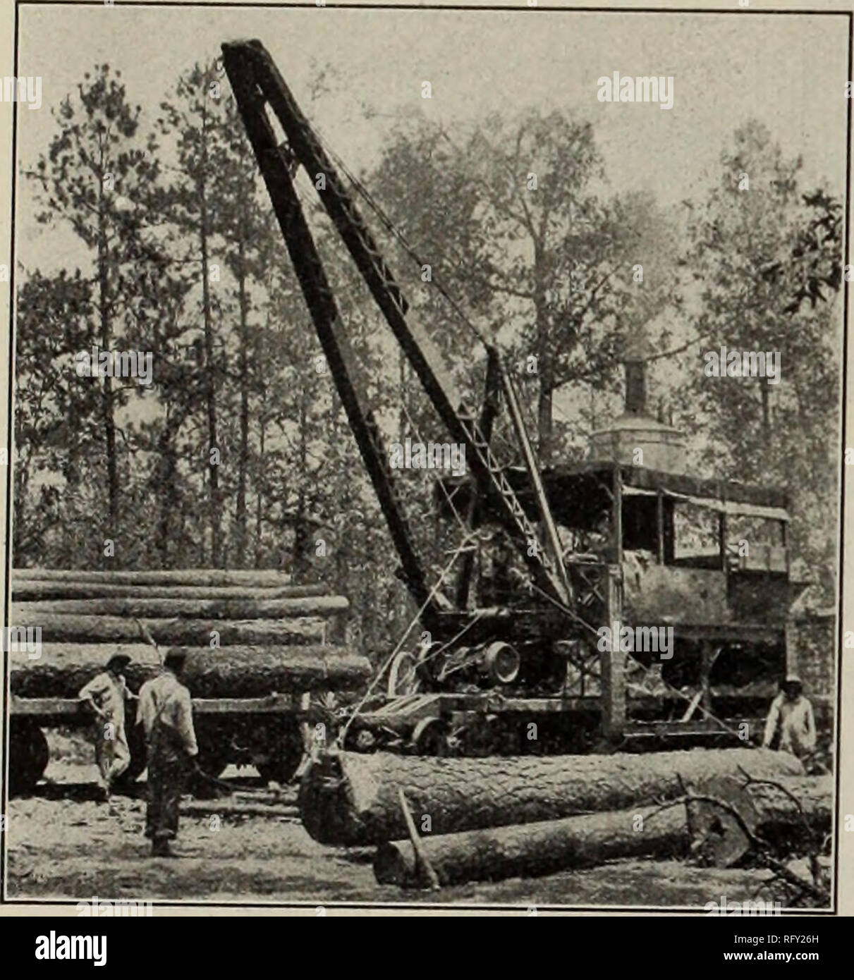 Canadian Forest Industries January June 1912 Lumbering Forests And Forestry Forest Products Wood Pulp Industry Wood Using Industries 68 Canada Lumberman And Woodworker Current Lumber Prices Continued No 2 Cuts 6 4 45 00 Canadian Forest Industries January June 1912 Lumbering Forests And Forestry Forest Products Wood Pulp Industry Wood Using Industries 68 Canada Lumberman And Woodworker Current Lumber Prices Continued No 2 Cuts 6 4 45 00
