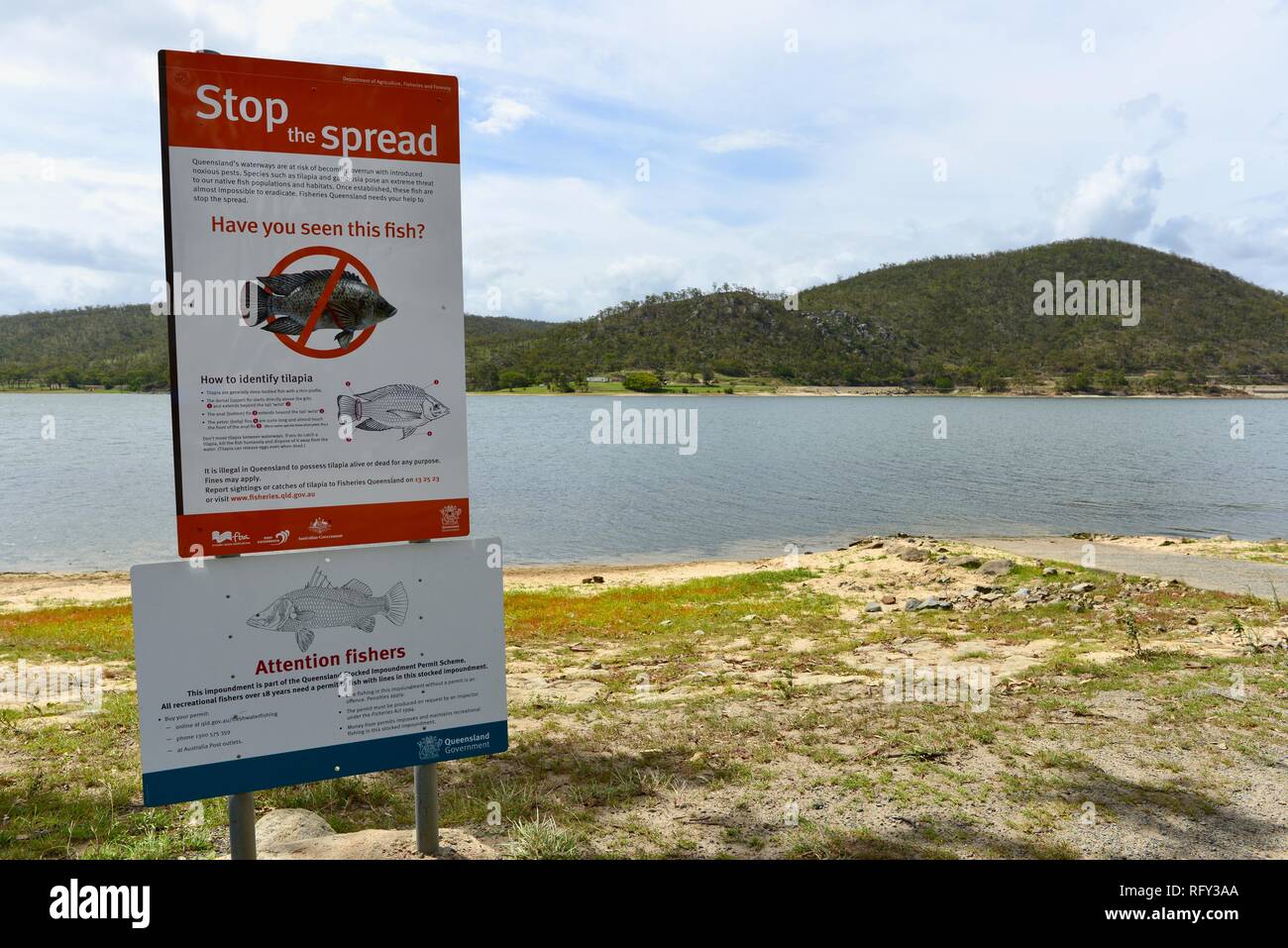Stop the spread of tilapia sign, Eungella dam, Queensland, Australia