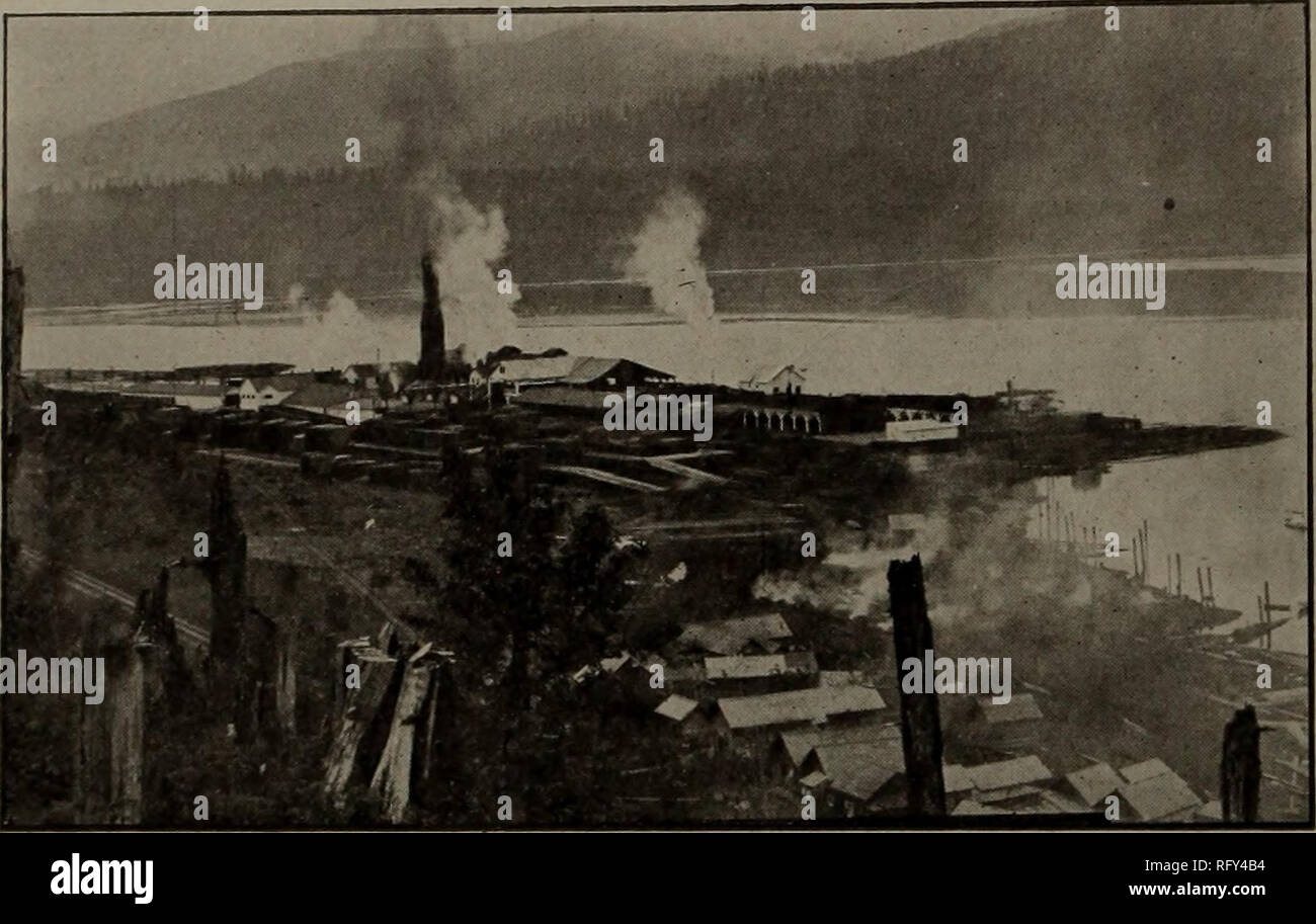 . Canadian forest industries 1903. Lumbering; Forests and forestry