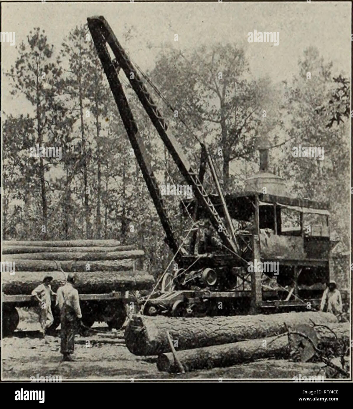 Canadian Forest Industries January June 1912 Lumbering Forests And Forestry Forest Products Wood Pulp Industry Wood Using Industries 68 Canada Lumberman And Woodwork It K Current Lumber Prices Acontinued No 2 Cuts 6 4 45